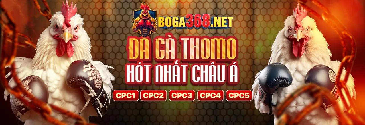 Minh họa chính sách và quy định
