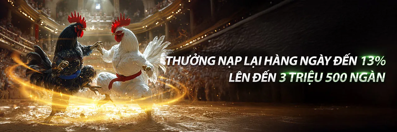 Đá Gà Trực Tuyến Hấp Dẫn tại bayvip link mới