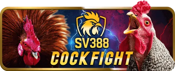 Chính sách Cookie Bayvip Link Mới